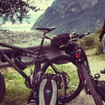 Alpenschorsch | Tenno | Blick auf Riva del Garda